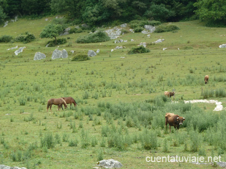 Entorno Natural de Bizkaia